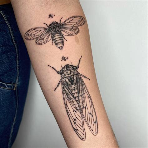 cicada tattoo symbolism designs  placement tips