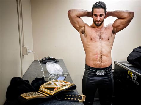 Wwe Seth Rollins Body