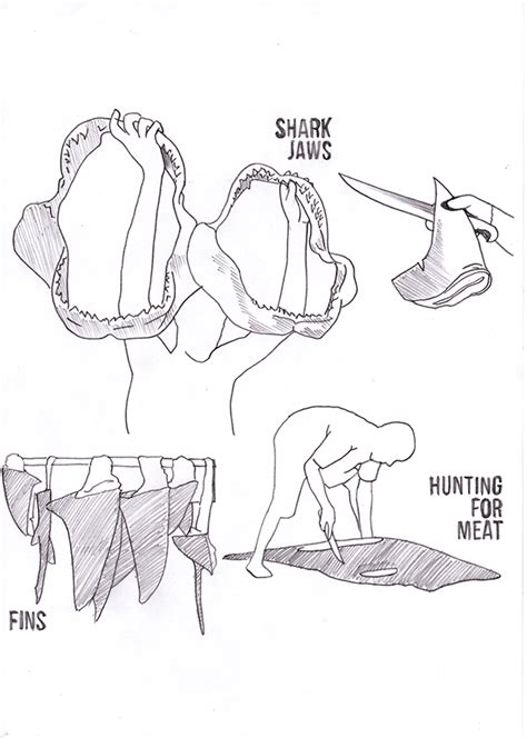 Shark Finning Infographic on Behance