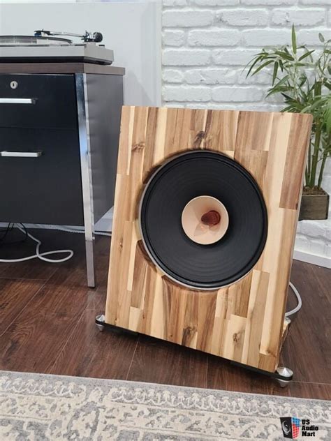 lii audio  custom open baffle single driver speakers high