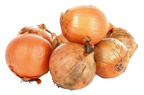 Onion Png