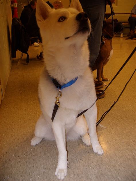 A Call to Action Finding Female Jail Inmates for Friendship