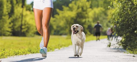correr  tu perro petcuaria