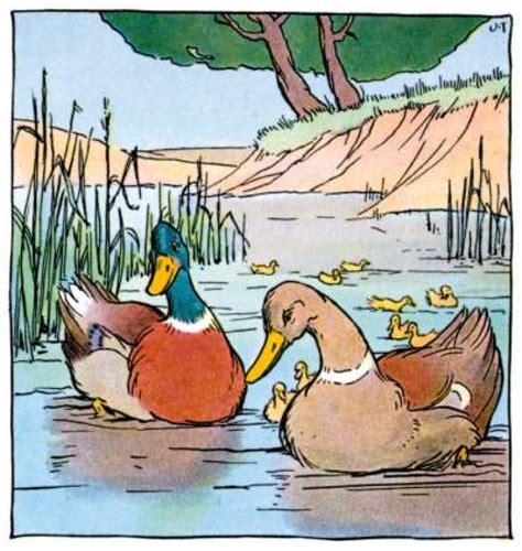 What is a Creek?