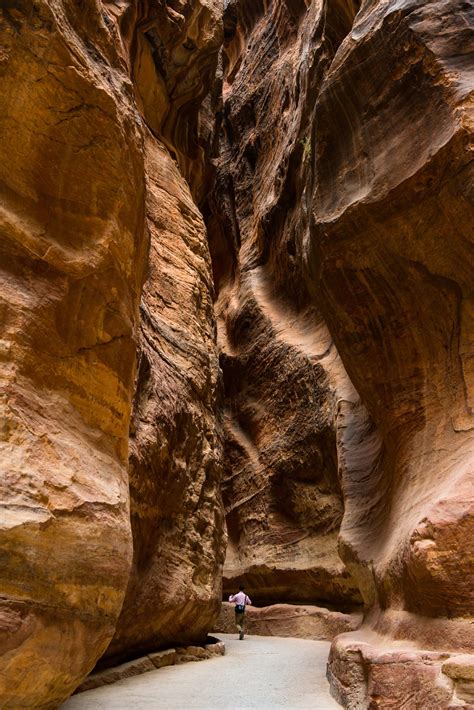 Embark on a Cultural Odyssey: Canada to Egypt and Jordan Travel Packages and Tours