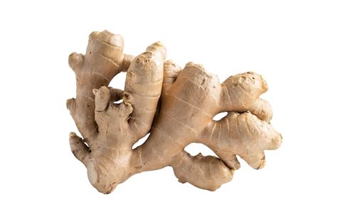 premium photo ginger rhizome isolated  white background herb