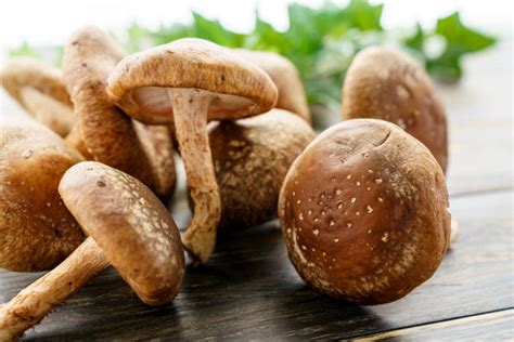 830+ Umami Mushroom Stock Photos, Pictures & Royalty-Free Images - iStock