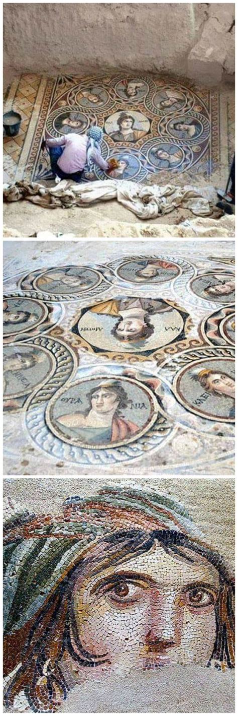 Beautiful uncovered Mosaics. #Zeugma (Anatolia) 2000 years old ...