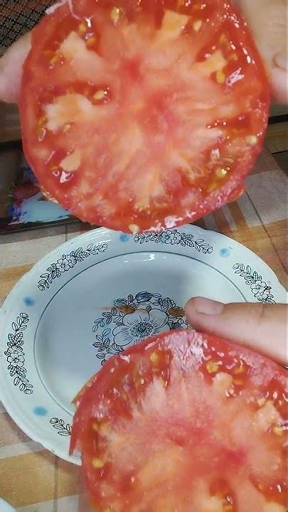 Коллекционный томат Минусинские шары - YouTube