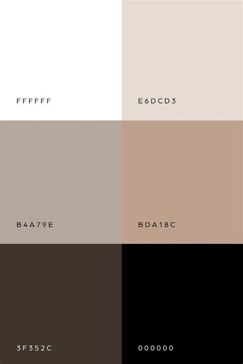 neutral tan color palette inspiration black color palette tan color