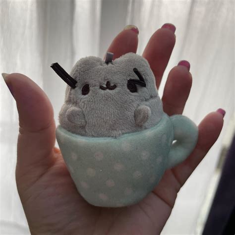 Pusheen plush keychains from food mystery box... - Depop