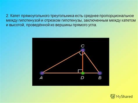 Презентация на тему: "1. Сумма двух острых углов прямоугольного ...