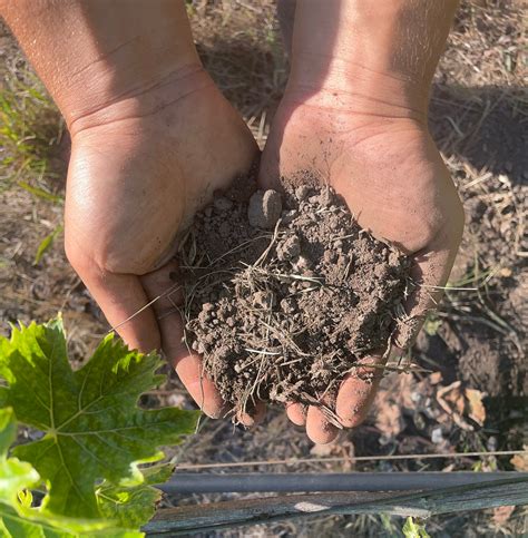 Soil Test Kit | Alluvial Soil Lab