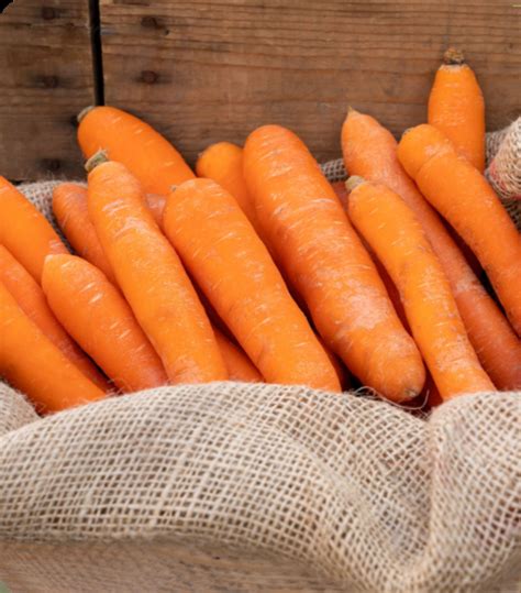 groenten kopen bij de boer boerderijproductennl