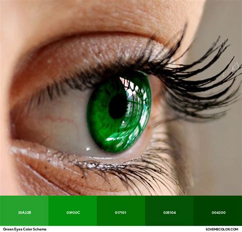 green eyeball logo