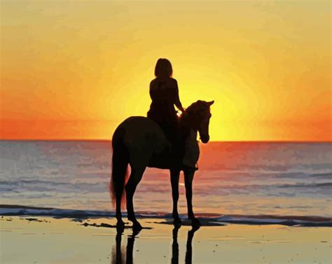 Sunset Horse On The Beach Silhouette Paint By Numbers - Paint By Numbers