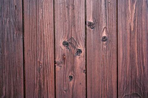 Ползущее растение по деревянным доскам · бесплатная фотография от jorik ...