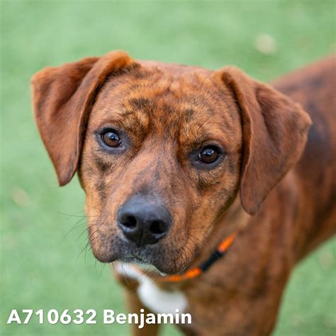 Front street shelter sacramento needs volunteers for the holiday rush 22