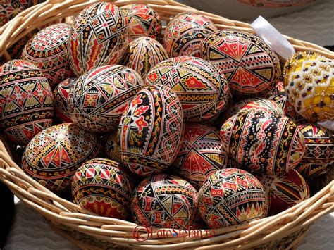 oua archives fotostefan