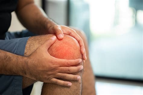 Posterior Cruciate Ligament (PCL) Tears — Blue Oak Physiotherapy