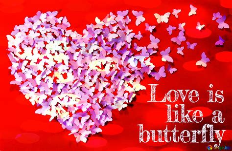 Love is like a butterfly Quote №179793