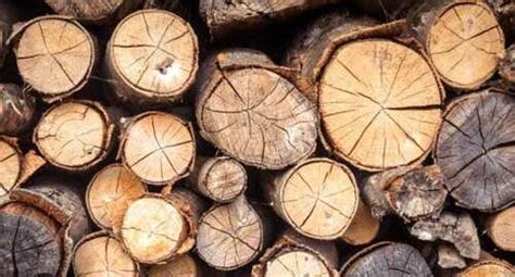 wooden timber feature na   price  pune koteshwar timbers