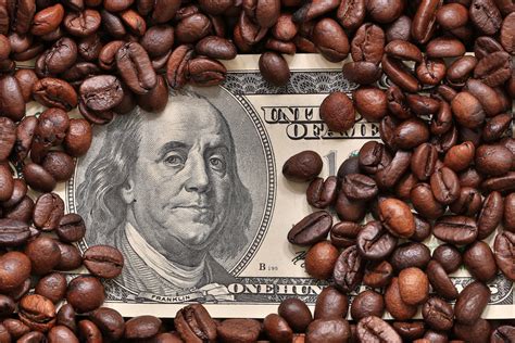 Our Next Lockdown Winner - Now Revealed - Trade of the Day