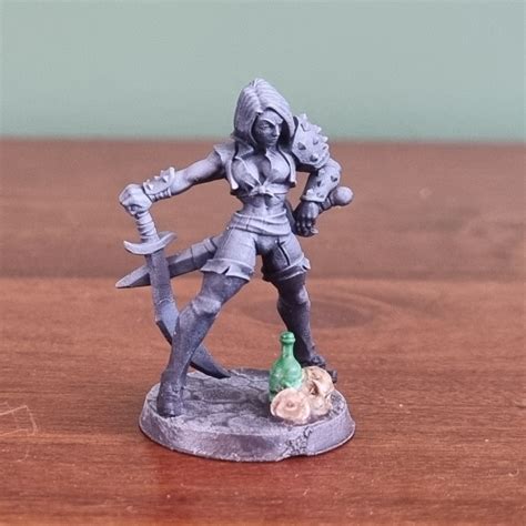 3D Print of Aline the Bold - Rogue Heroine by FogoFortitude
