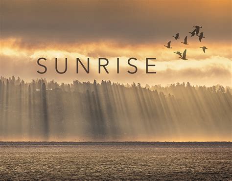 Seattle Sunrise (12) | Images :: Behance