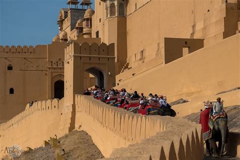 jaipur  mi nikon  las cosas del abuelo ohara