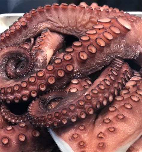 Nelson’s Meat + Fish - Restaurant Web X