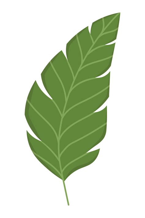 Palm Tree Leaves Clipart PNG Images, Green Palm Leaves,, 41% OFF