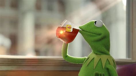 Kermit Sipping Tea Wallpapers - Wallpaper Cave