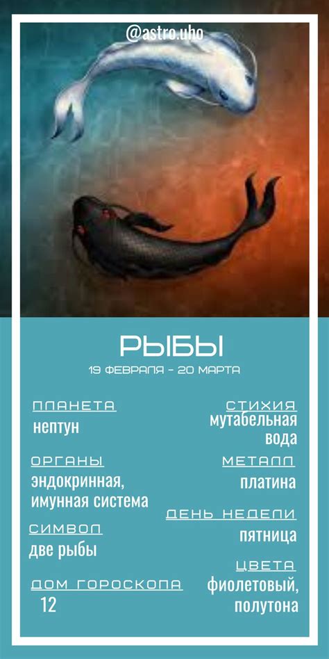 Рыбы. Знак зодиака Рыбы. Символ и значение знака Рыбы. | Astro, Movie ...