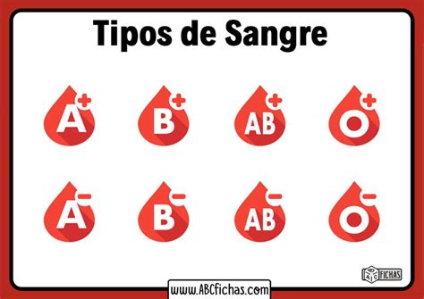 Tipos de sangre diferentes - ABC Fichas