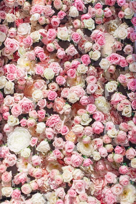 Aesthetic Light Pink Flowers References – Mdqahtani