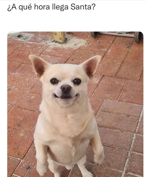 ¿A qué hora llega Santa? - Memes