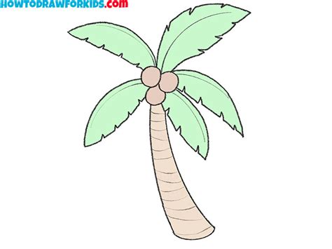 draw  coconut tree easy drawing tutorial  kids