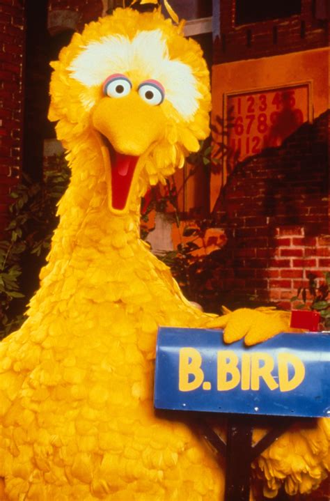 Big Bird Costume Rental