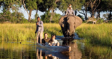 Okavango Delta safari in Botswana - Information for your Botswana holiday