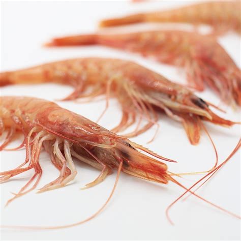 buy prawns  mariskito