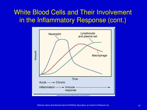 PPT - Chapter 2 Inflammation and Repair PowerPoint Presentation, free