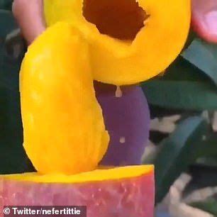 The clever trick to opening a ripened mango with one twist | Mango ...