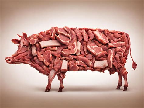 The EU Climate Risk Report Lacks Livestock Farming Focus