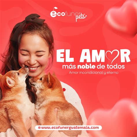 EcoFuner - 🐾 ️ El amor más noble de todos ️🐾 El amor incondicional que