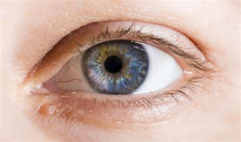 ¿Por qué una misma persona puede tener ojos de diferente color? | Explora | Univision