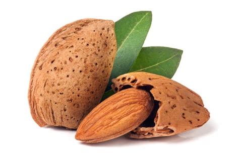 Tout savoir sur les amandes et leurs atouts pour la santé | LaNutrition.fr