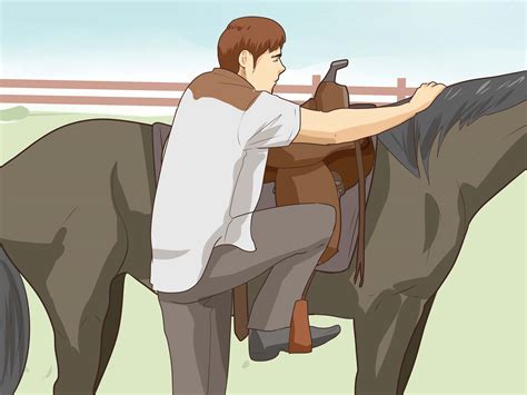 How To Halter Break A Horse at Anna Octoman blog