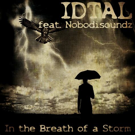 idtal feat nobodisoundz   breath   storm  hortus