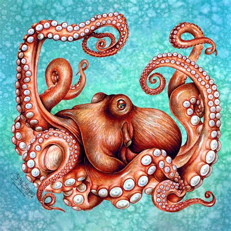 Kraken Octopus Art Canvas Print. Original 12 X 12 Sea Creature - Etsy UK